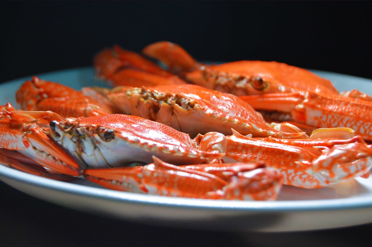 heros-img Freshly cooked orange crabs served on a plate, showcasing vibrant seafood cuisine.